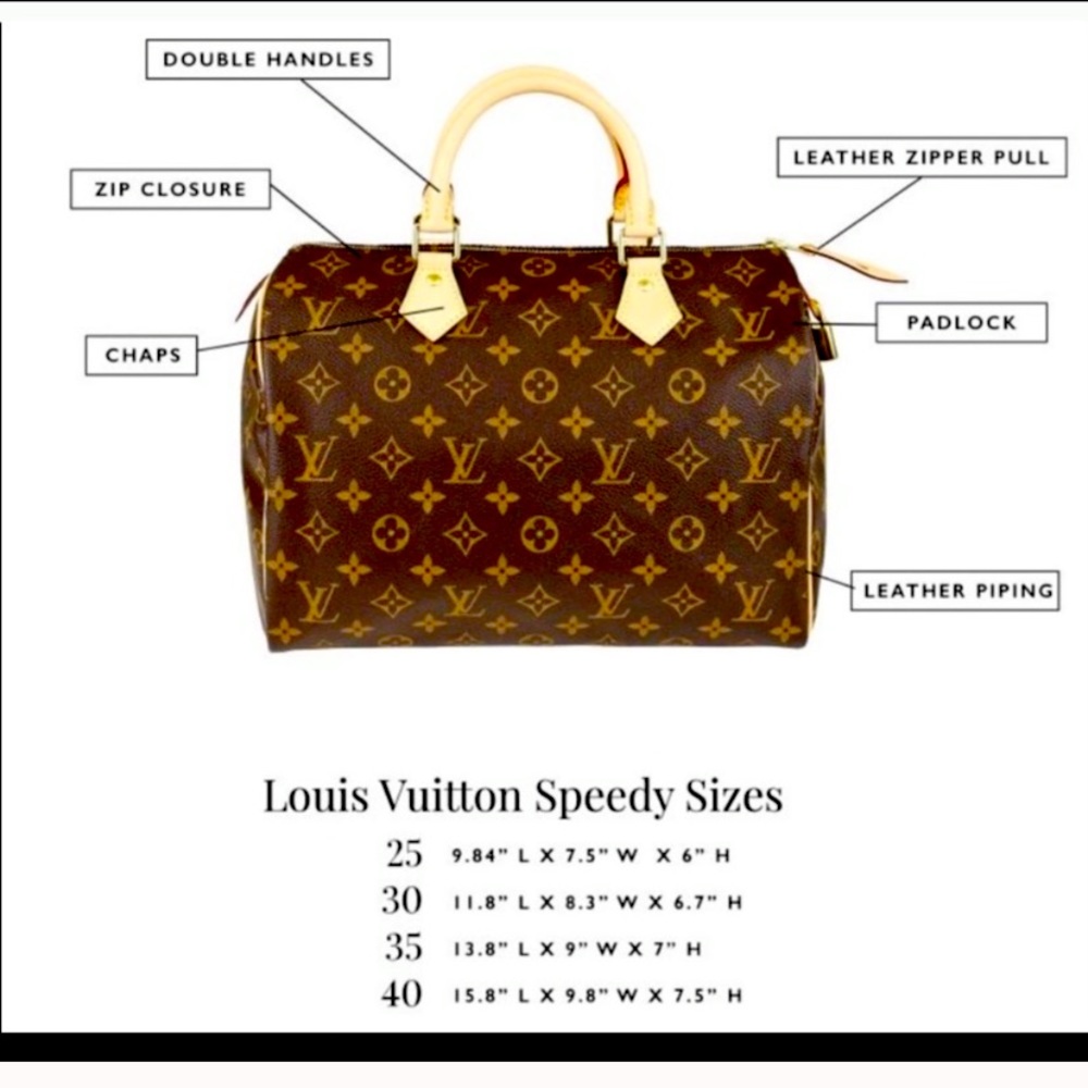Louis Vuitton Speedy 25 Bag